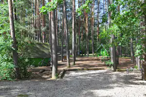 Waldcamping Brombach - Blick auf die Glamping-Hütten zwischen den Bäumen im Wald auf dem Campingplatz