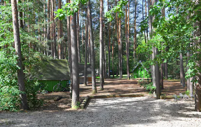 Waldcamping am Brombachsee