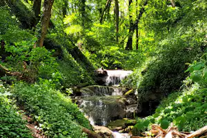 Waldcamping Mörtelstein - Wasserfall direkt neben dem Campingplatz