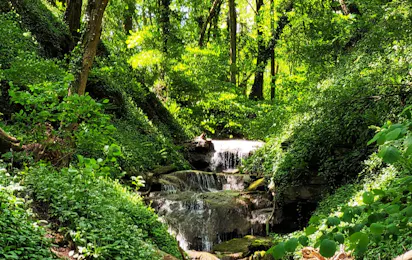 Waldcamping Mörtelstein