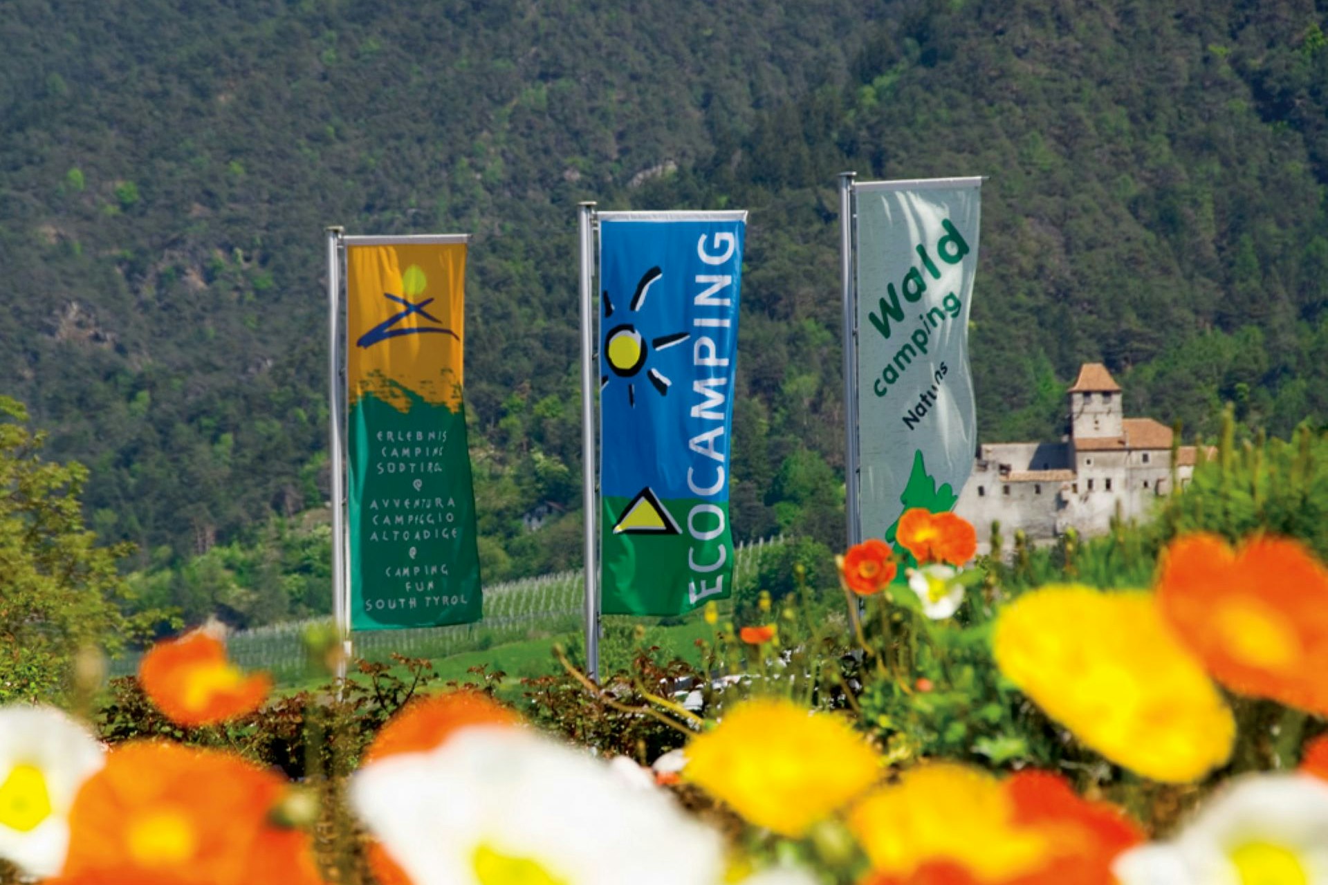 Waldcamping Naturns - Eingangsbereich des Campingplatzes