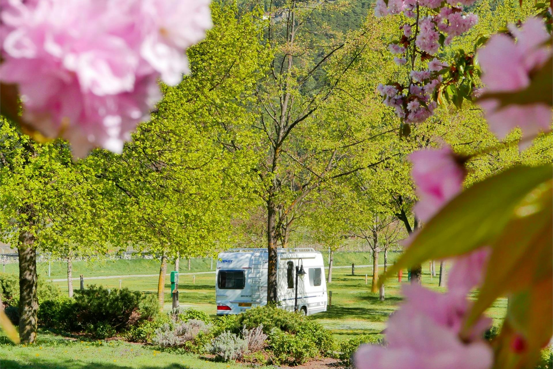 Waldcamping Naturns - Stellplätze im Grünen