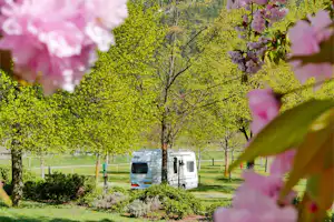 Waldcamping Naturns - Stellplätze im Grünen