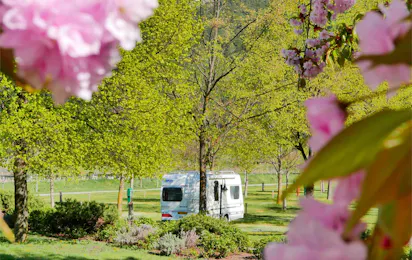 Waldcamping Naturns