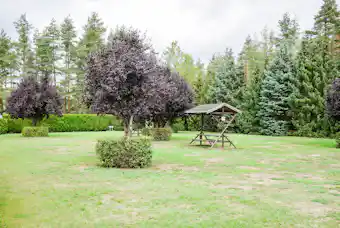 Camping Pirna