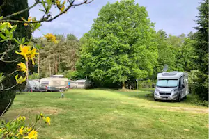 Waldcampingplatz Ummelbad - Wohnmobil- und Wohnwagenstellplätze im Grünen