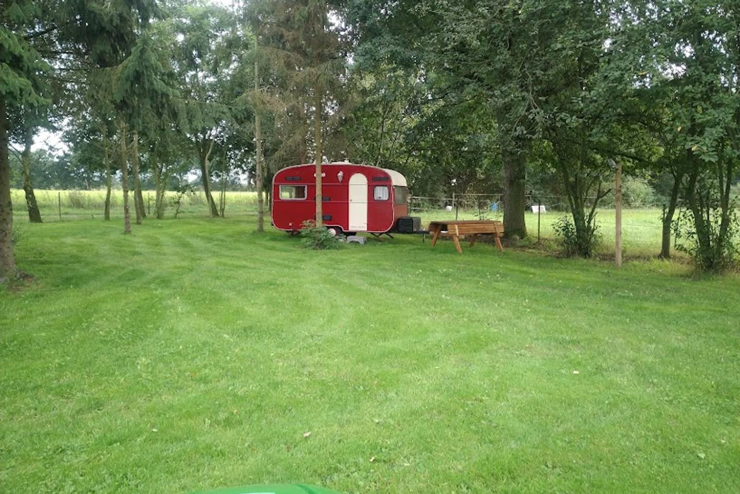 Wally's Senioren Kamping  Wallys Bauernhof - Wohnmobil- und  Wohnwagenstellplätze auf der Wiese