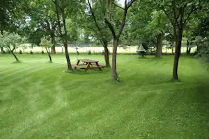Wally's Senioren Kamping Wallys Bauernhof - Wohnmobil- und Wohnwagenstellplätze auf der Wiese