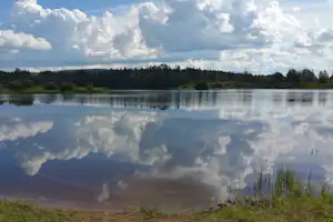 Wanha Autti Camping - Blick auf den Fluss beim Campingplatz in dem geschwommen werden kann