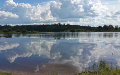 Wanha Autti Camping