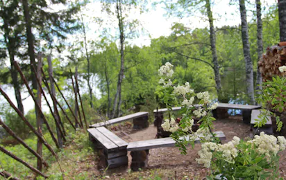 Wanha Autti Camping