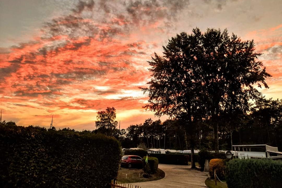 Waldesruh Camping CMA  Watercamp Waldesruh - Sonnenuntergang über dem Campingplatz und Blick auf die Standplätze umgebende Hecken