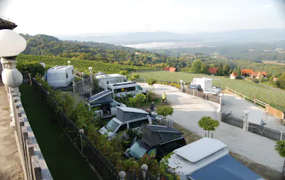 Weinberg-Panorama-Camping