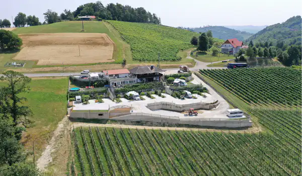 Weinberg-Panorama-Camping