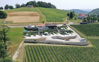 Weinberg-Panorama-Camping