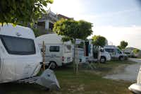 Weinberg Naturparkcamping Sausalerland - Wohnmobil- und  Wohnwagenstellplätze auf dem Campingplatz