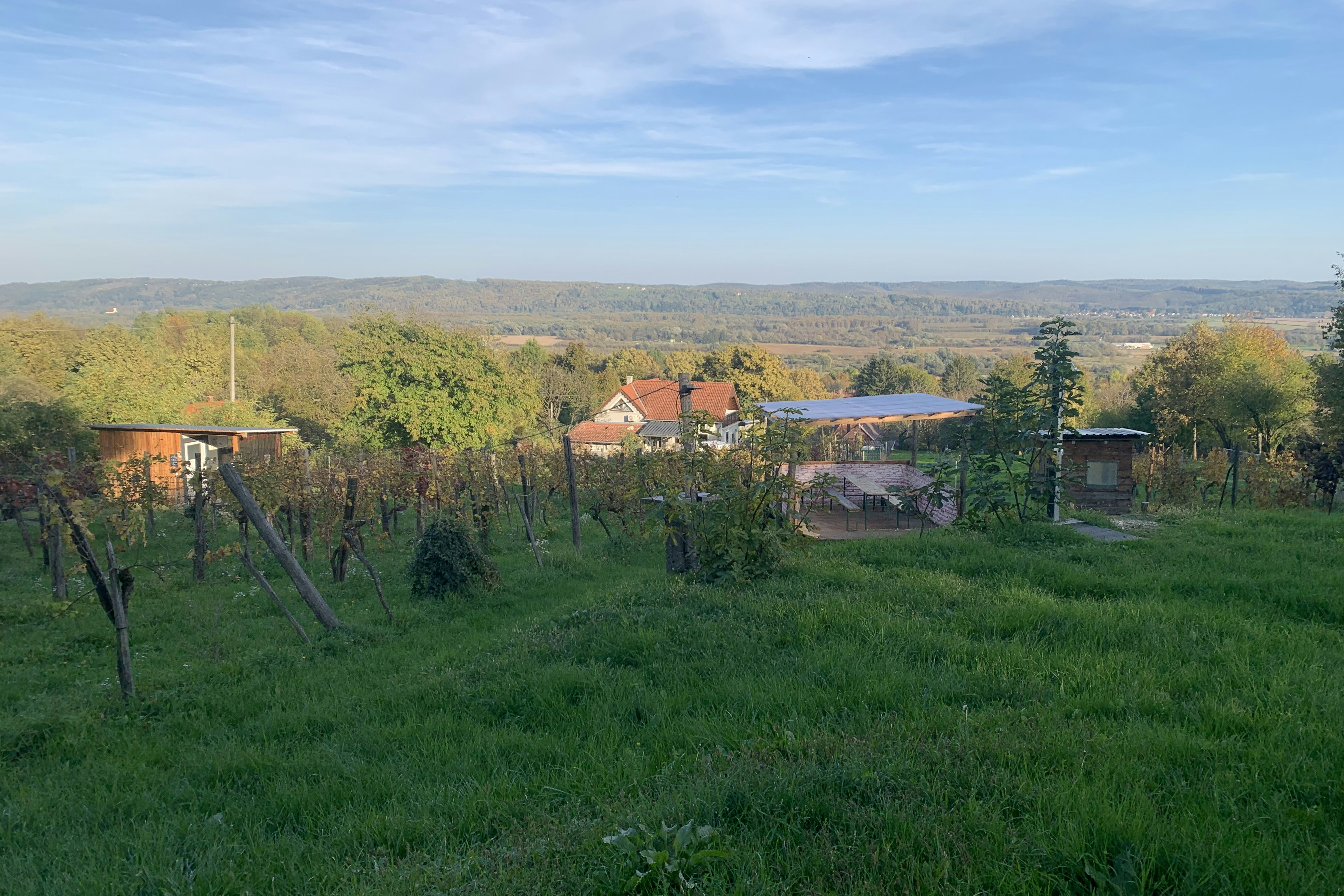 Weinbergcamping Ungarn - Blick auf die Aussicht vom Campingplatz aus