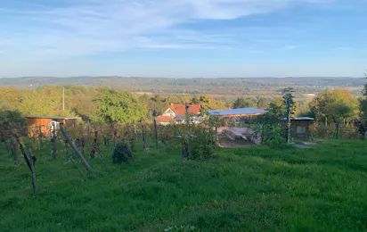 Weinbergcamping Ungarn