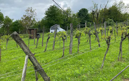 Weinbergcamping Ungarn