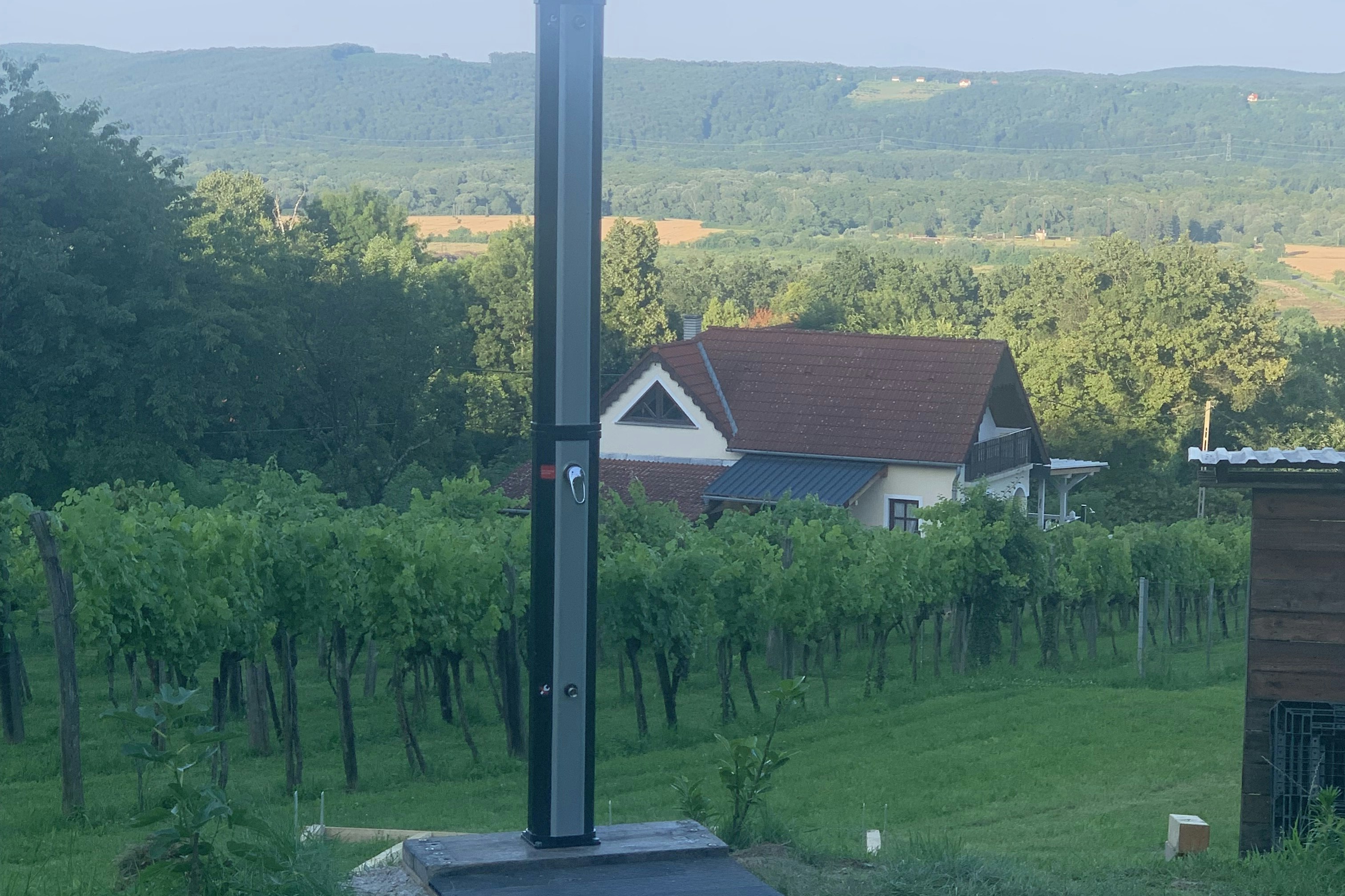 Weinbergcamping Ungarn - Weinreben auf dem Campingplatz