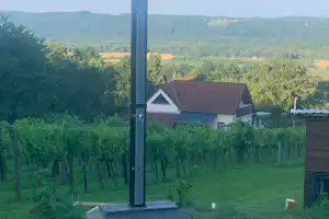 Weinbergcamping Ungarn - Weinreben auf dem Campingplatz