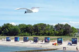 Wellness Camp Düne 6 - Strand vom Campingplatz an der Ostsee