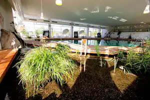 Wellness Camp Düne 6 - Indoor Pool vom Campingplatz
