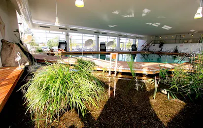 Wellness Camp Düne 6