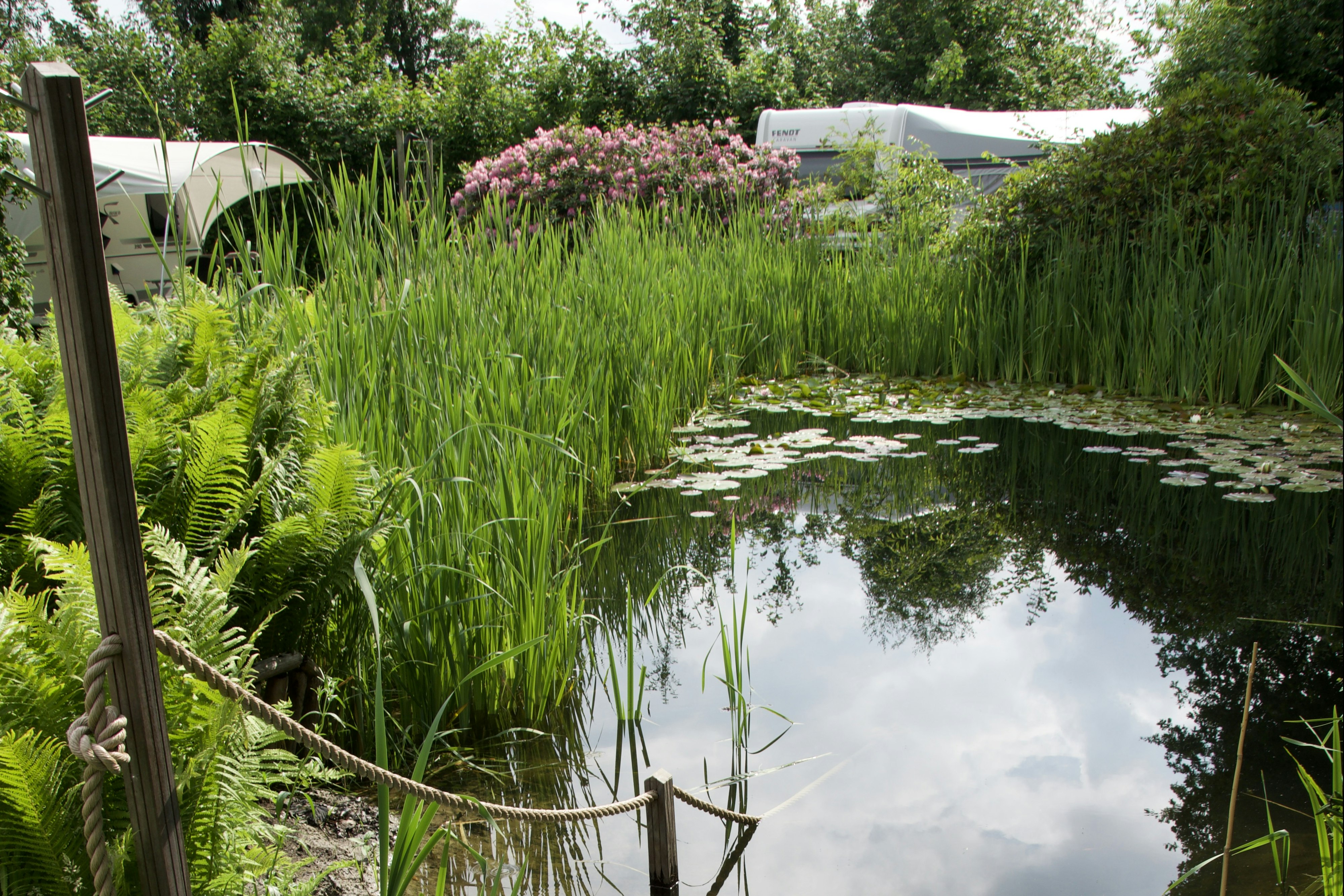 Wellnesscamping Favora - Teich auf dem Campingplatz