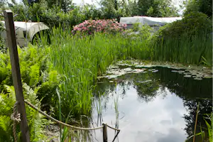 Wellnesscamping Favora - Teich auf dem Campingplatz