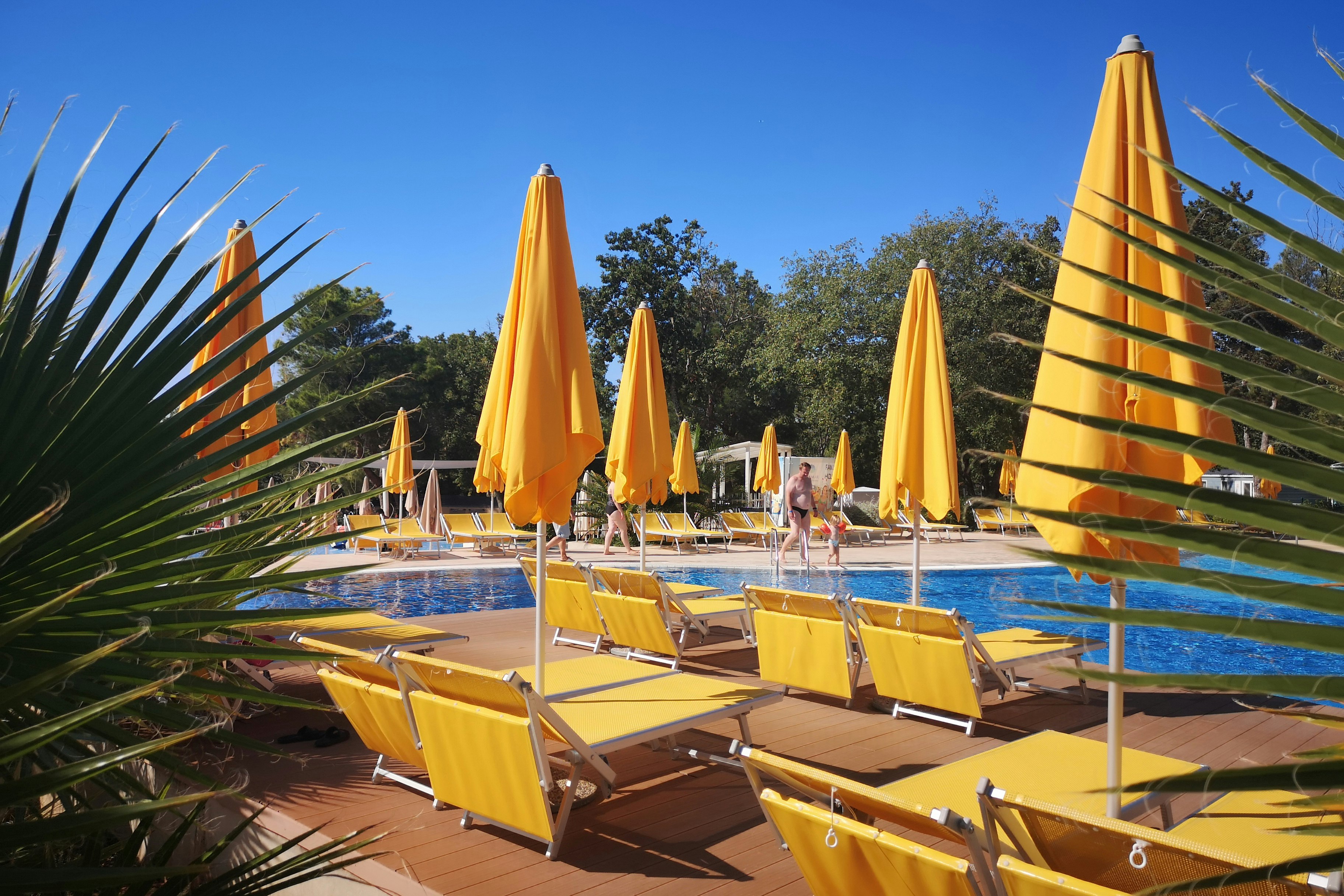 WestCoast Mobile Homes @ Camping Lanterna  - Pool im Freien mit Liegestühlen und Sonnenschirmen