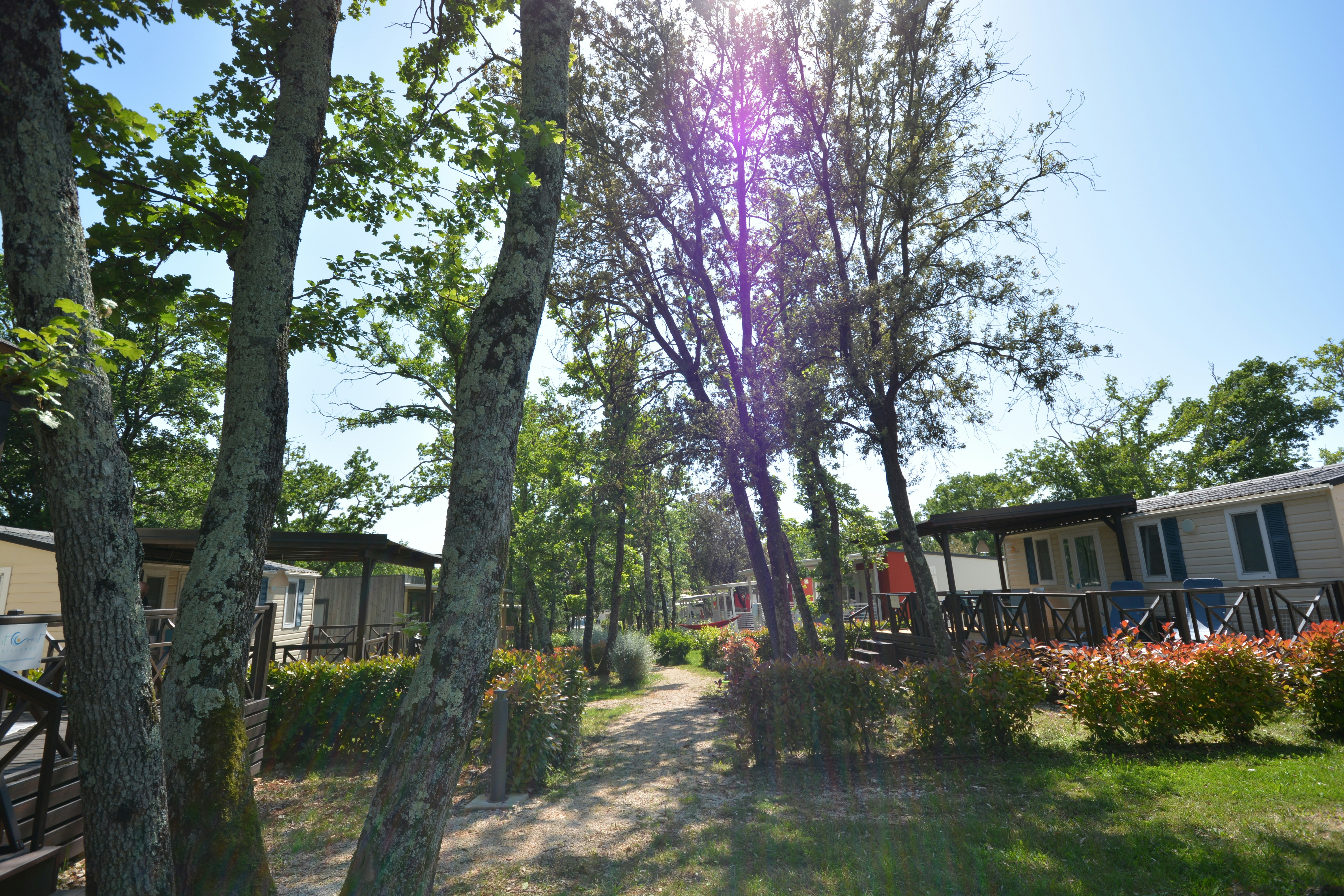 WestCoast Mobile Homes @ Solaris Camping  - Mobilheime auf dem Campingplatz