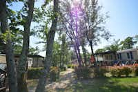WestCoast Mobile Homes @ Solaris Camping  - Mobilheime auf dem Campingplatz