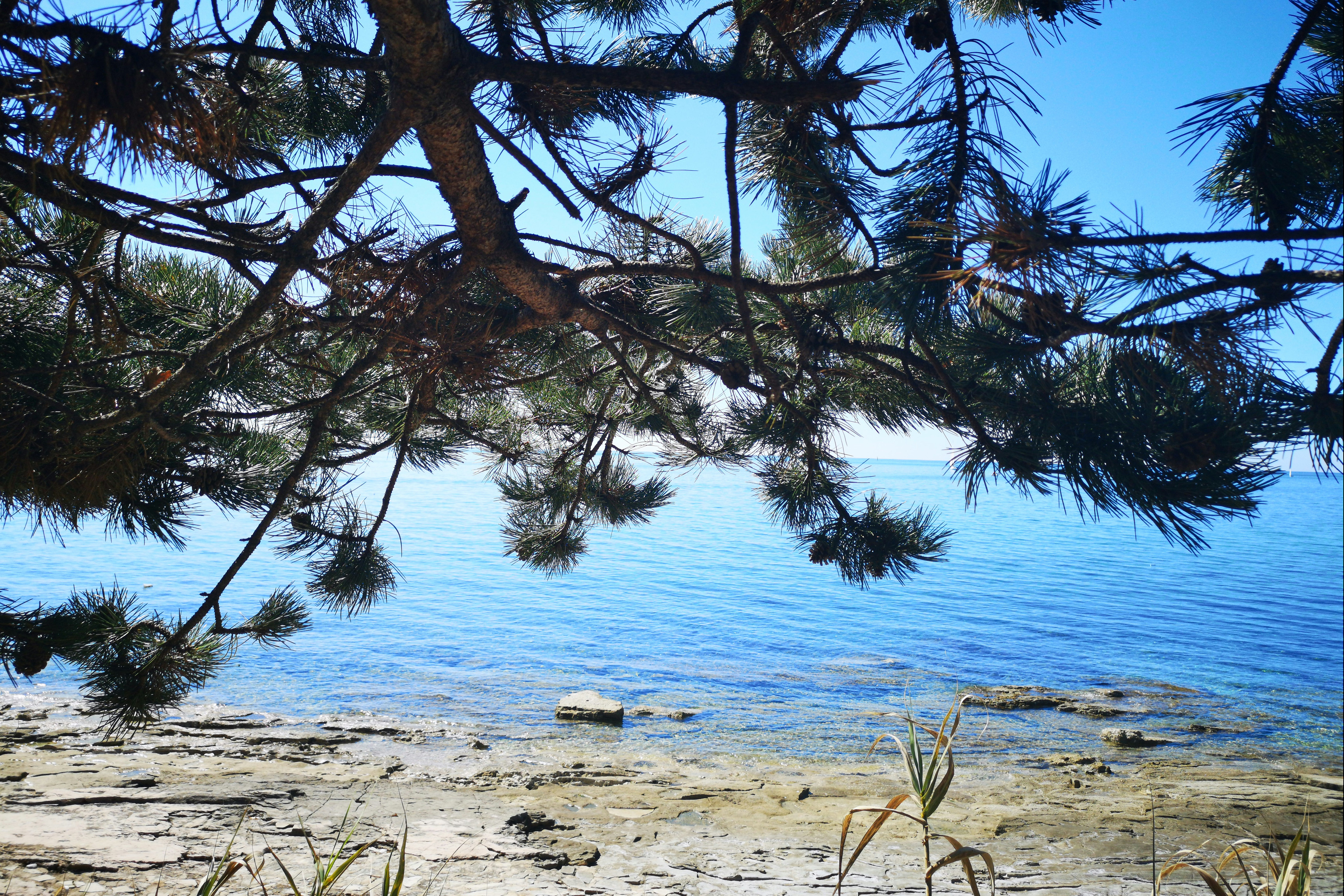 WestCoast Mobile Homes @ Solaris Camping - Badestrand am Campingplatz