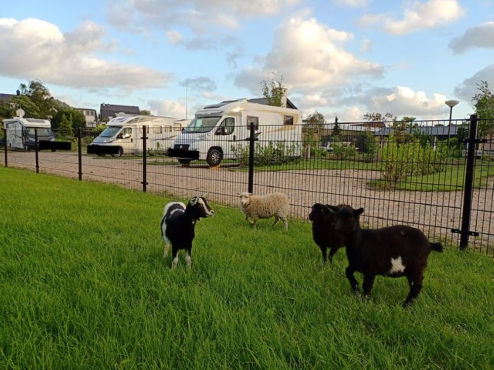 Westeinder Vinkhoeve