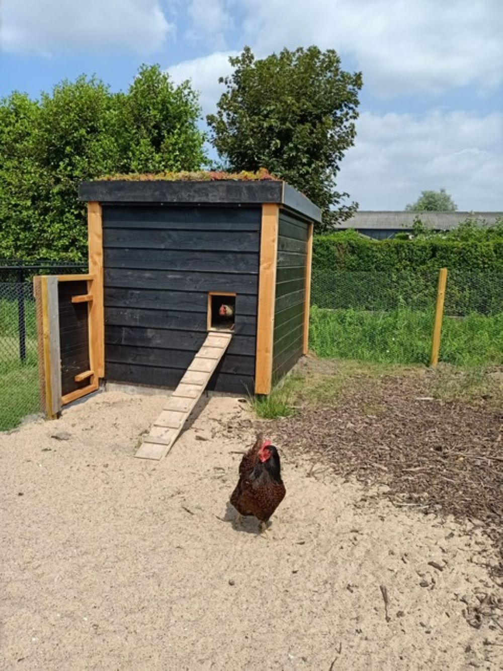 Westeinder Vinkhoeve