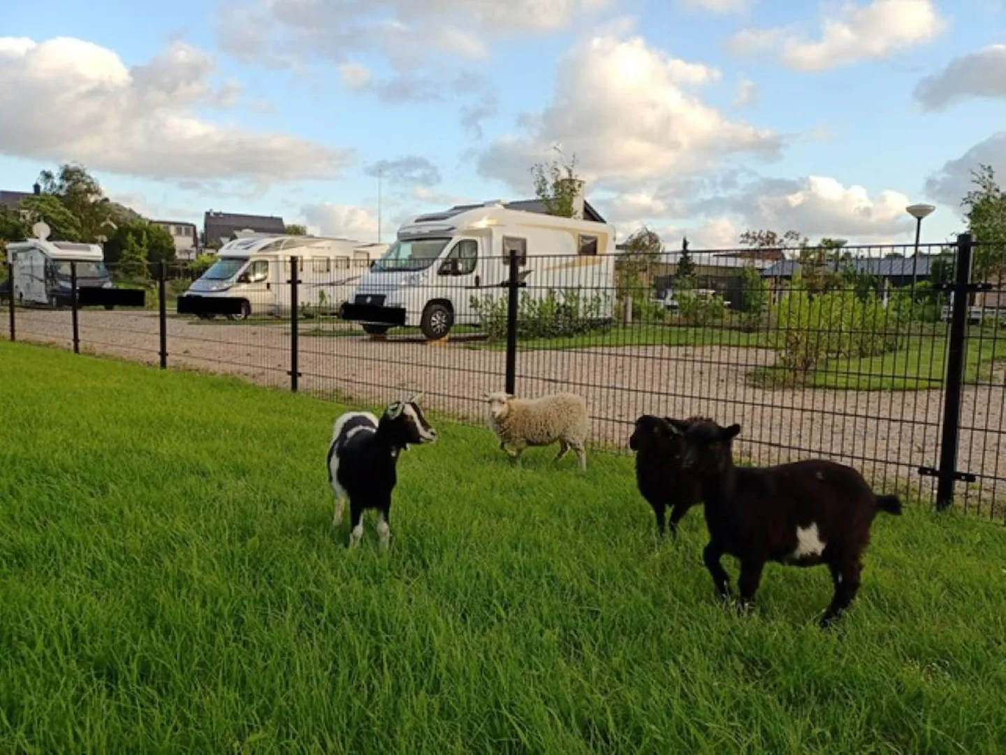 Westeinder Vinkhoeve