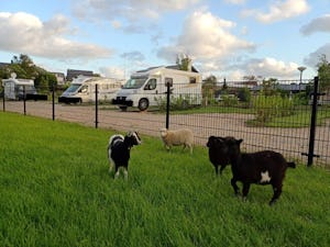 Westeinder Vinkhoeve