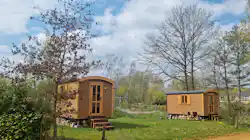 Willow Camp