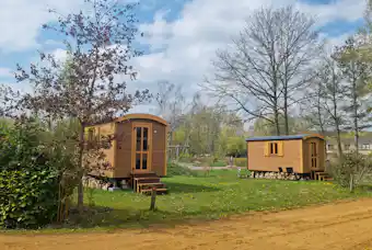 Willow Camp