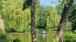 Willow Camp
