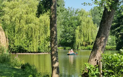 Willow Camp