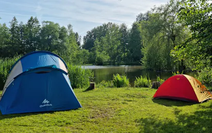 Willow Camp