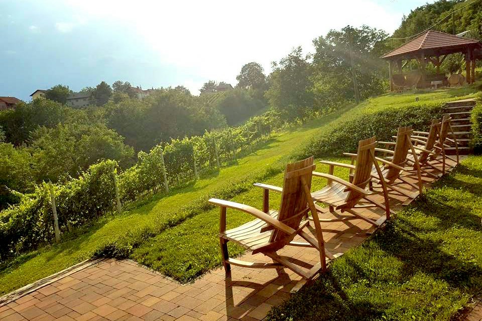 Holzterrasse mit Stühlen und Tisch am Campingplatz, Blick über gepflegte Weinreben und grüne Hänge im Hintergrund.