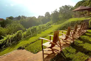 Holzterrasse mit Stühlen und Tisch am Campingplatz, Blick über gepflegte Weinreben und grüne Hänge im Hintergrund.