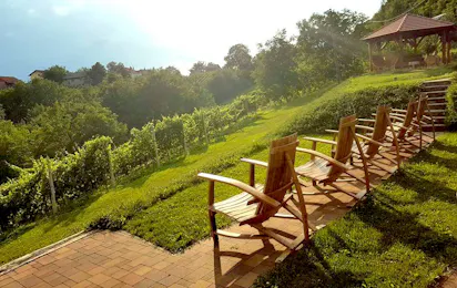 Wine Camp Hažić