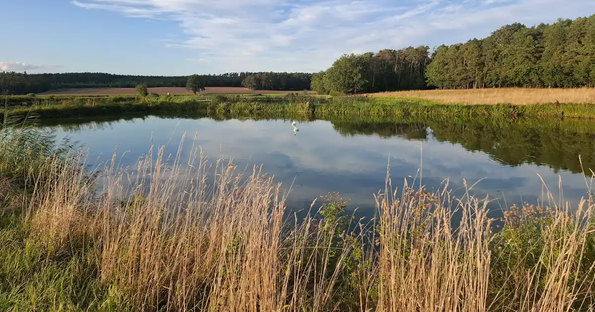 Fränkischer Aischgrund