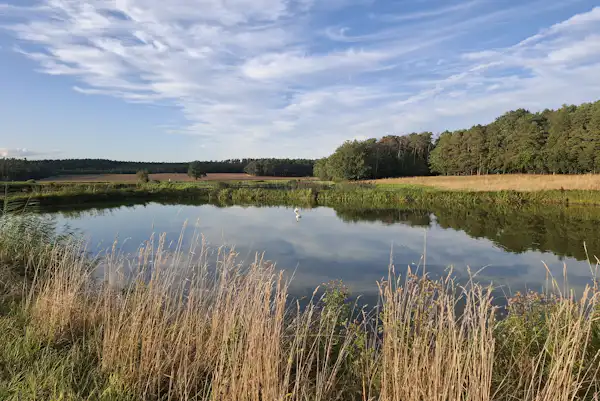 Fränkischer Aischgrund