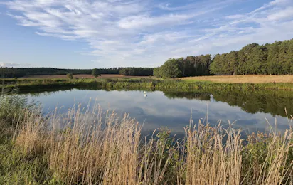 Fränkischer Aischgrund