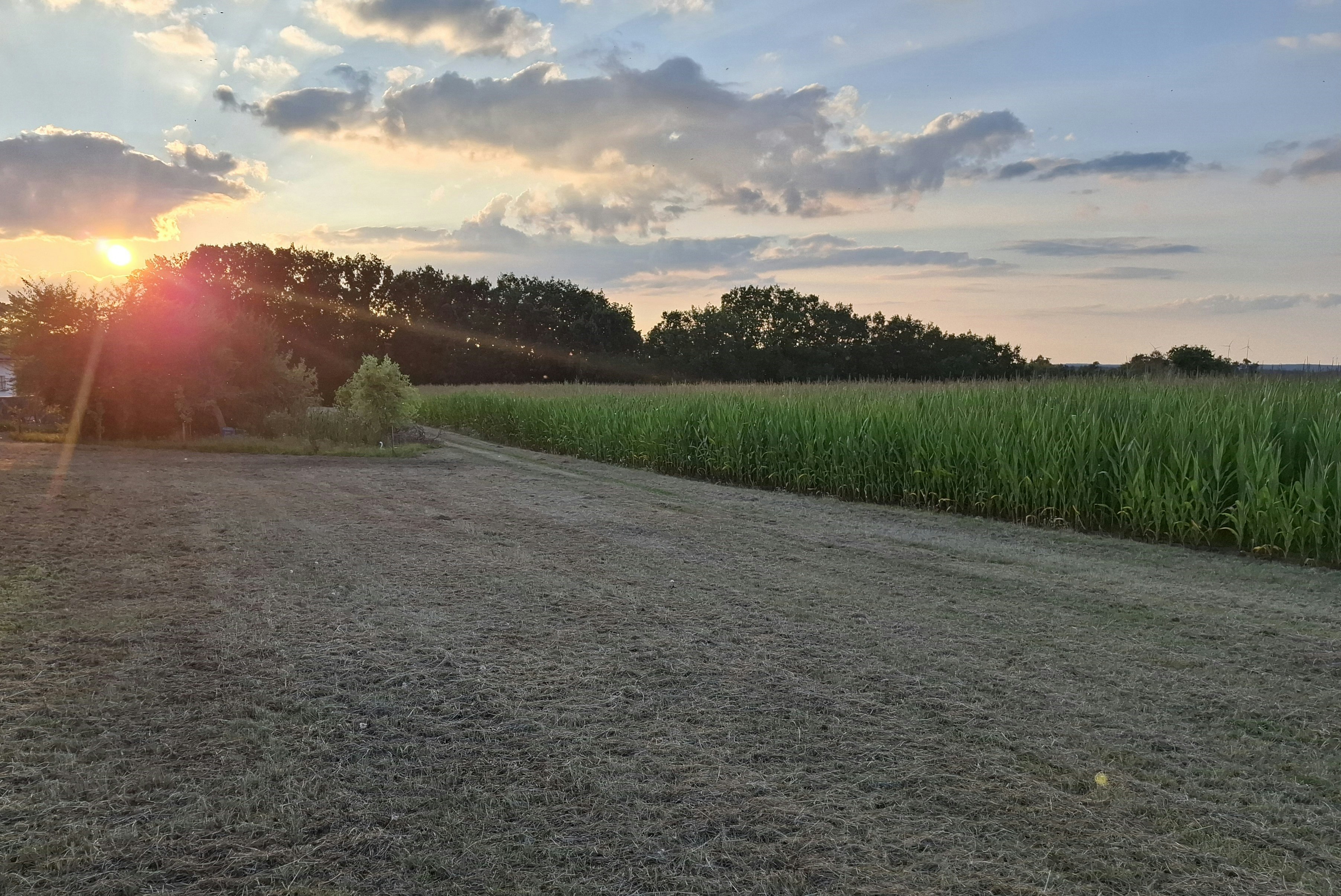 Camping-Seerosenteich - Blick auf die Felder in der Umgebung des Campingplatzes